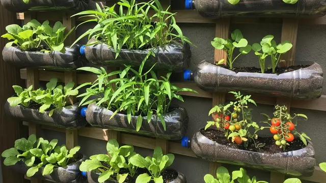 Model Kebun Mungil di Halaman Belakang dengan Botol Bekas