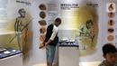 Pengunjung melihat peralatan dapur pada pameran Asal Usul Orang Indonesia (ASOI) di Museum Nasional Jakarta, Minggu (3/11/2019). Pameran tersebut menampilkan empat masa pada zaman manusia purba mulai dari Paleolitik, Mesolitik, Neolitik, hingga Paleometalik. (Liputan6.com/Fery Pradolo)