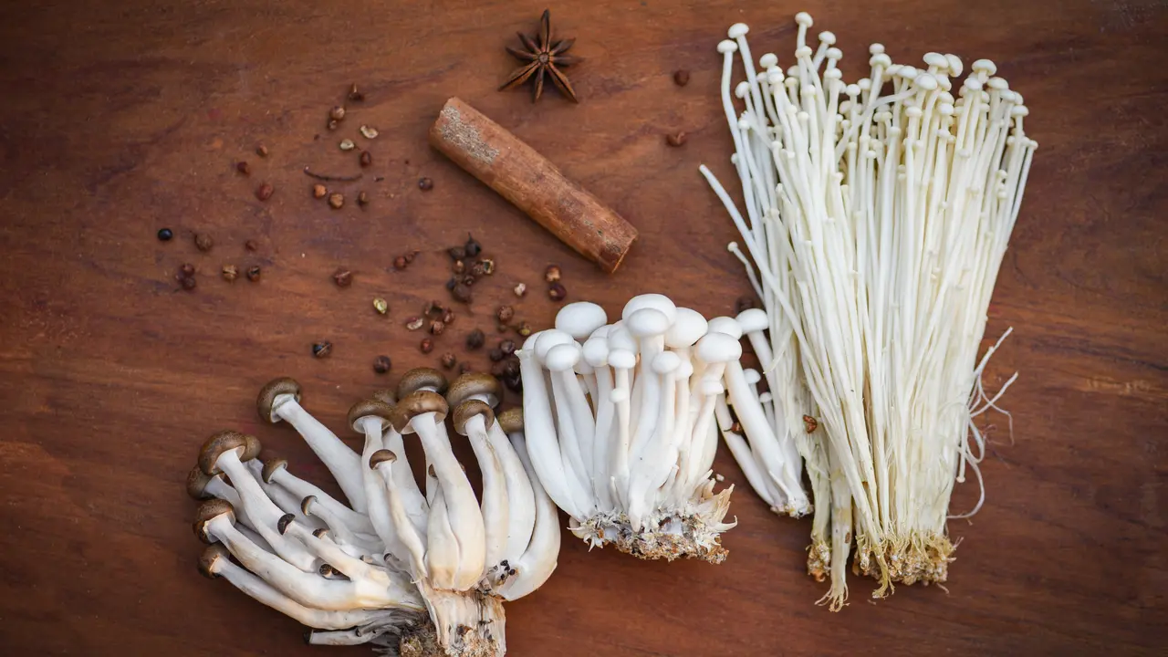 Jamur enoki