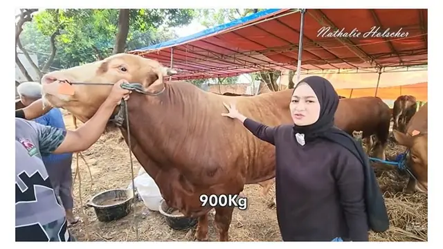 Potret 6 Selebriti saat Berburu Hewan Kurban, Milik Irfan Hakim Jadi Sorotan