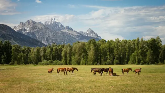 Wyoming