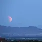 Bumi Sambut Supermoon Langka. Bumi Sambut Supermoon Langka. Bulan Supermoon saat Gerhana Bulan di langit  Las Vegas, AS (Reuters)