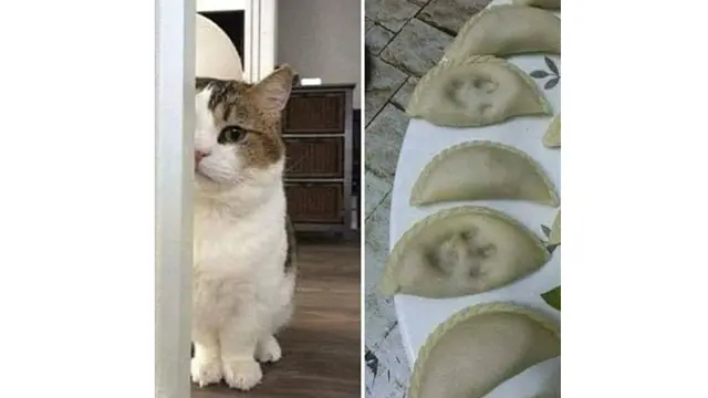 6 Momen Apes Saat Memasak Ini Bikin Tepuk Jidat