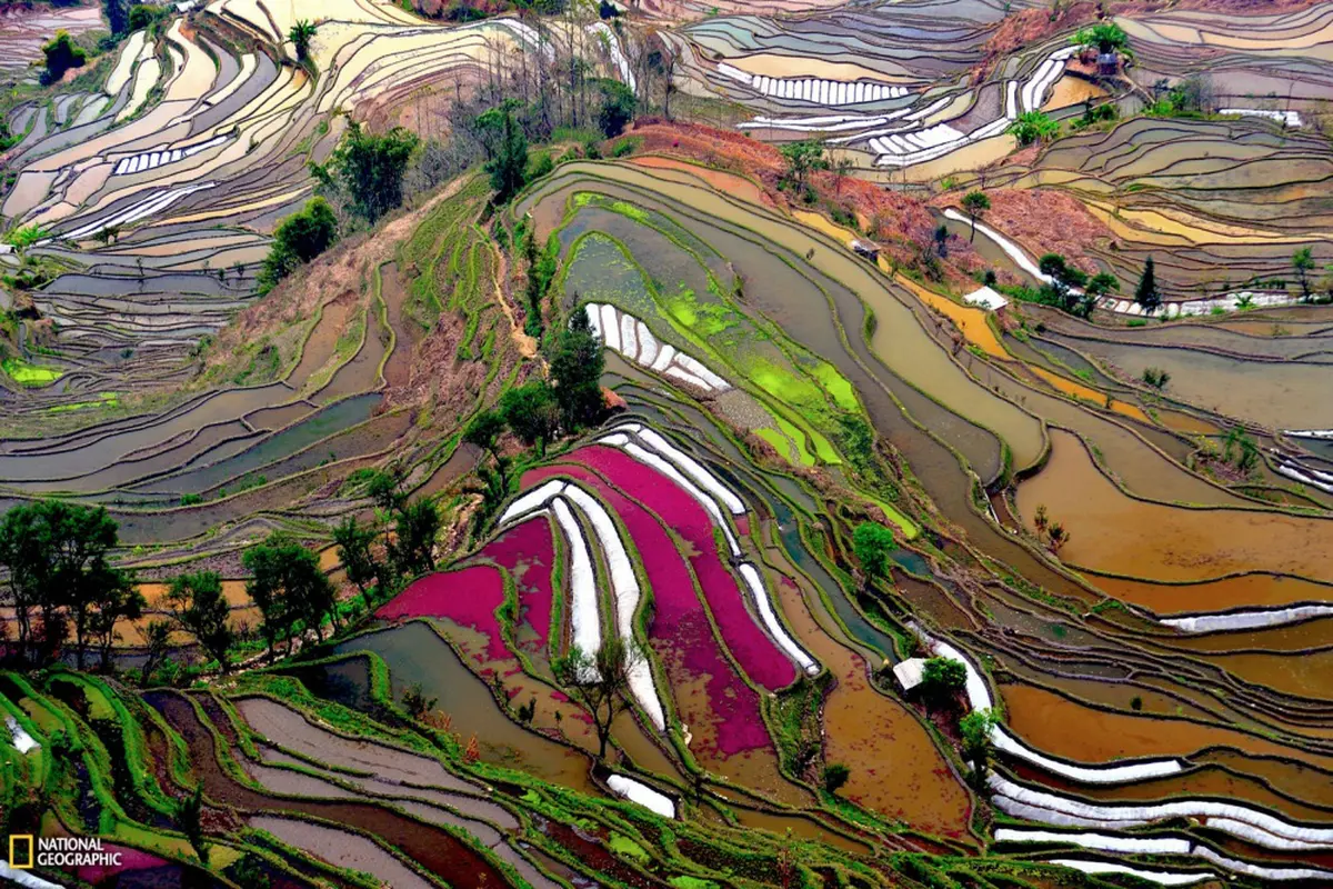Yunnan, Provinsi