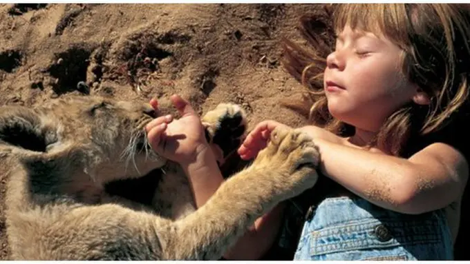 Foto: copyright 123inspiration.com