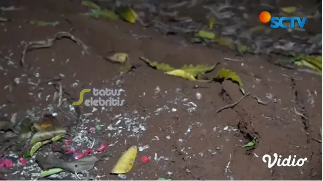 Jarang Diziarahi, Ini 6 Potret Makam Dorce Gamalama yang Amblas Diguyur Hujan