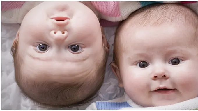 Foto: copyright shutterstock.com