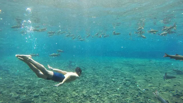 25 Wisata Pasuruan yang Paling Populer dan Instagenic, Wajib Dikunjungi