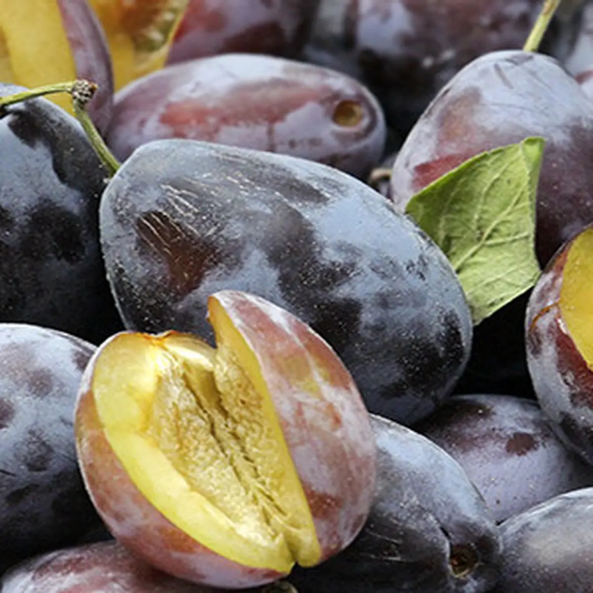 Manfaat Plum Untuk Menurunkan Kolesterol