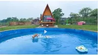 Pria Ini Bangun Rumah Mewah untuk Anjing Senilai Rp 700 Juta, Dilengkapi AC hingga Kolam Renang
