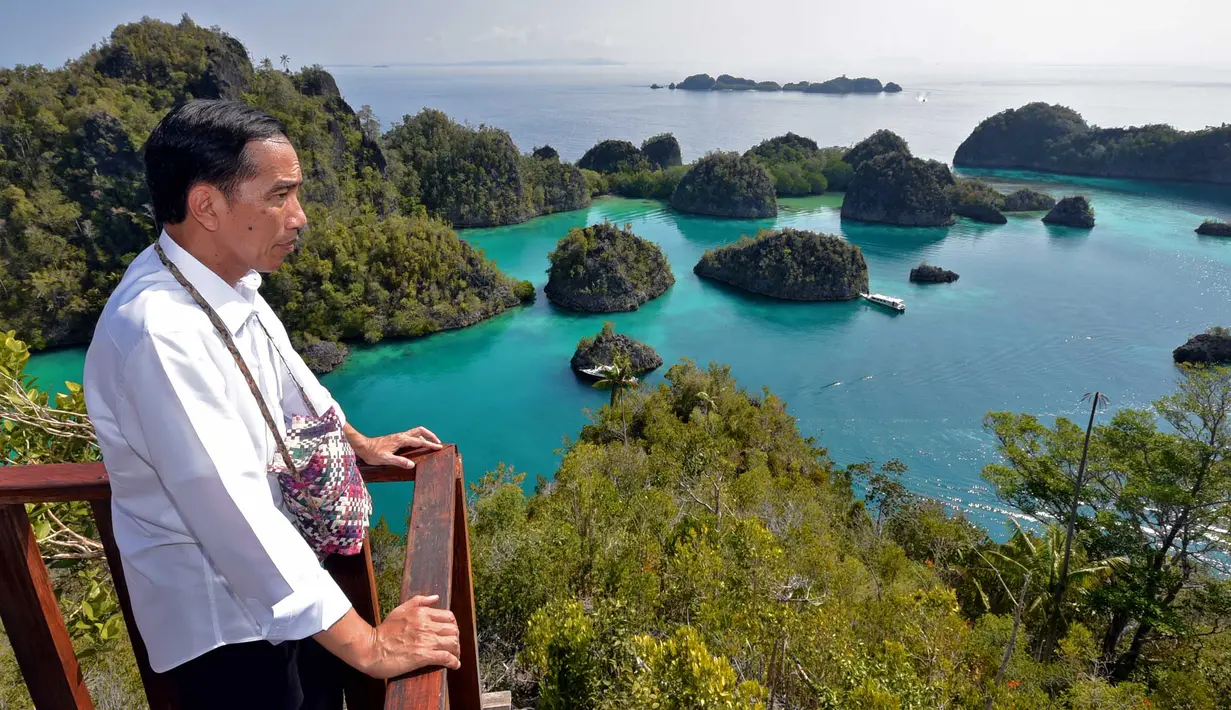 Presiden Joko Widodo (Jokowi) melihat ke arah kawasan wisata Raja Ampat dalam rangkaian kunjungannya ke Papua Barat, Jumat (1/1/2016). Jokowi berada di Raja Ampat dalam rangka menyambut pergantian dari tahun 2015 ke tahun 2016. (Setpres-Agus Suparto)