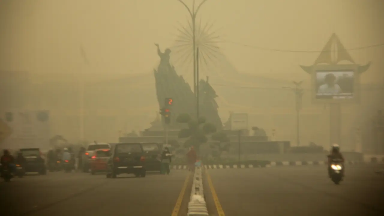 91 Ribu Warga Riau Korban Bencana Kabut Asap 2015 Gigit Jari