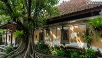 Jarak Aman Tanam Pohon dari Tembok Rumah yang Wajib Diketahui, Hindari Kerusakan