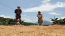 Buruh tani menjemur gabah di kawasan Tanjung Sari, Kabupaten Bogor, Jawa Barat, Senin (14/3/2022). Sejak sepekan terakhir, harga gabah kering giling di tingkat petani naik dari Rp 4.400 menjadi Rp 4.600 per kilogram. (merdeka.com/Arie Basuki)