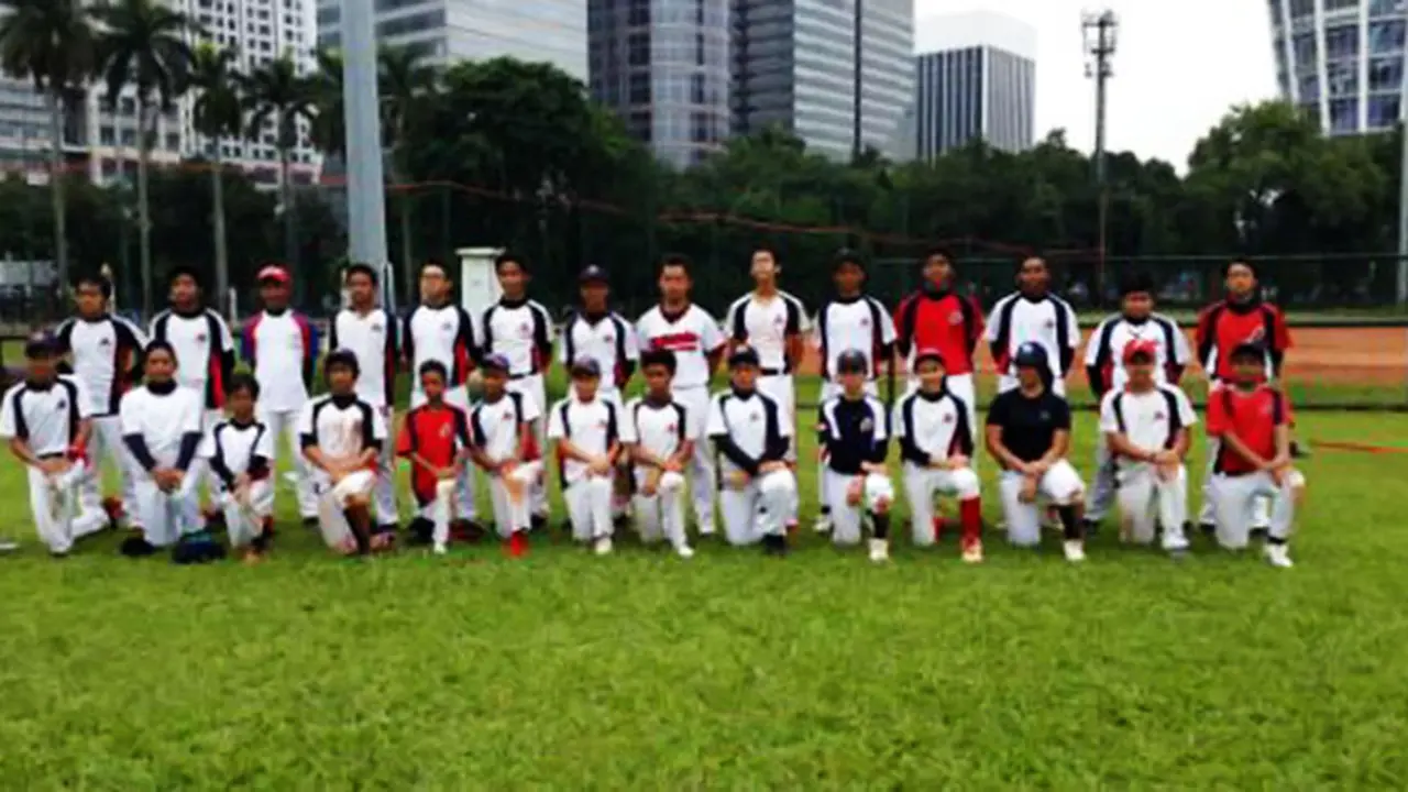 babseball-131210a.jpg