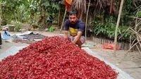 Petani di Desa Rumahkai, Seram Bagian Barat, Maluku sedang menyiapkan hasil rempahnya berupa pala untuk dipasarkan (dok.Instagram/ruma_pala_maluku/https://www.instagram.com/petani_pala_maluku/?hl=id/Komarudin)