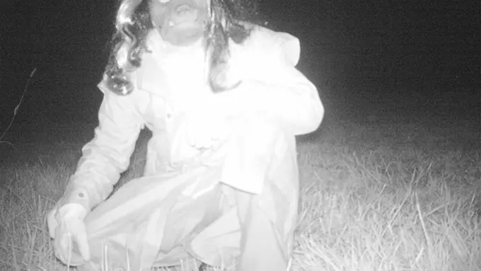 [Bintang] Niat Ingin Rekam Singa Gunung, Kamera Polisi Malah Rekam Siluman!