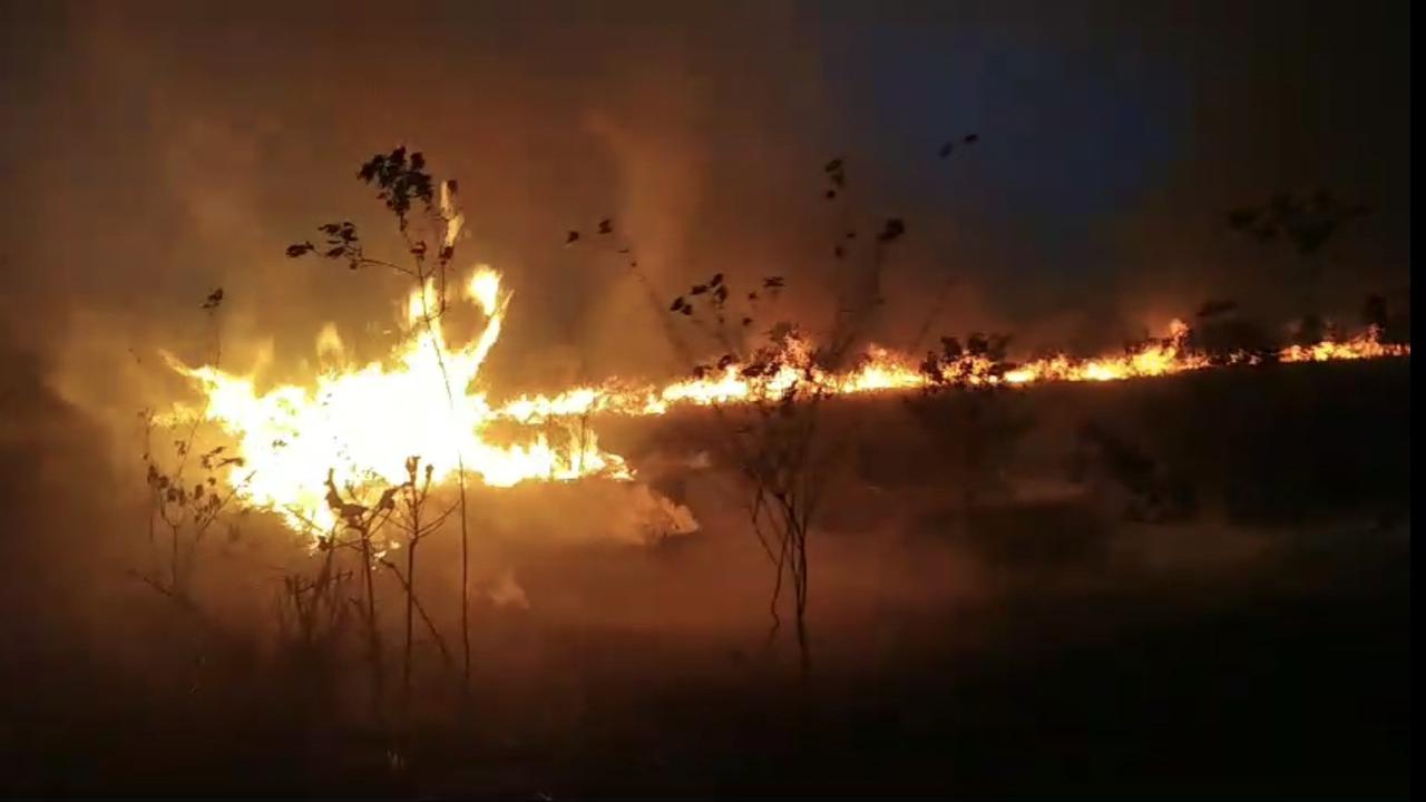 Selama dua hari terakhir, kebakaran melanda hutan di kawasan Taman Nasional Way Kambas, Lampung Timur. Foto : (Istimewa).