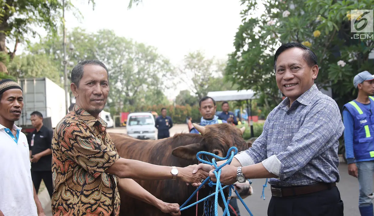 Direktur SCM Imam Sudjarwo menyerahkan 1 ekor sapi ke perwakilan RT 05 Tanjung Duren saat penyerahan hewan kurban 1439 H, Jakarta, Kamis (16/8). SCM membagikan hewan kurban sebanyak 5 sapi dan 45 kambing. (Liputan6.com/Herman Zakharia)