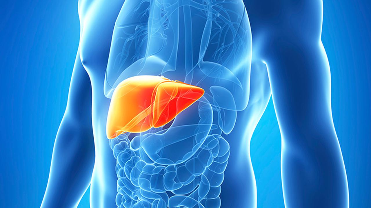 Lever, hepatitis