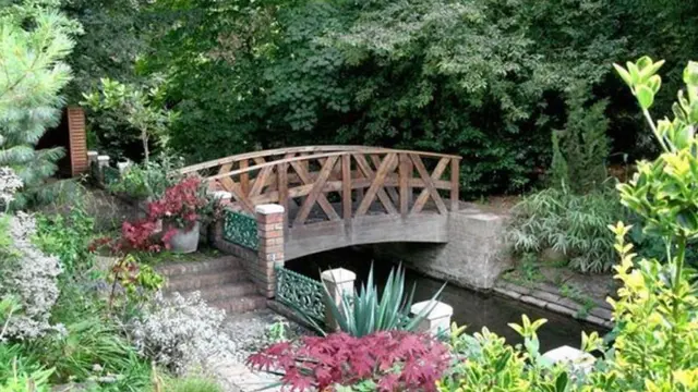 [Bintang] George Clooney