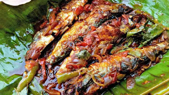 copyright Must Gaze Video