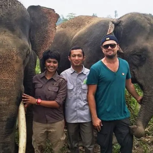 Pose dengan Gajah Sumatera, Ini Misi Leonardo Dicaprio