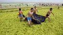 Antusiasme pengunjung saat bermain di pantai yang tertutup ribuan ton ganggang di Qingdao, Provinsi Shandong, China, 19 Juli 2015. Fenomena alam yang ekstrem ini memang sudah menjadi agenda tahunan sejak 2007 silam di pantai tersebut. (REUTERS/Stringer)
