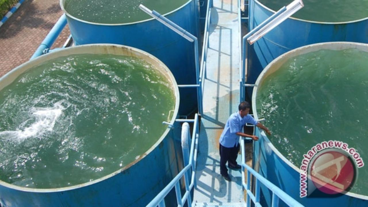 Sistem Penyediaan Air Minum (SPAM)