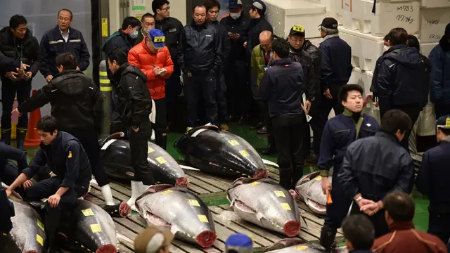 Lelang Tuna di Pasar Ikan Toyosu