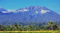 Puncak Gunung Raung Terbakar, Jalur Pendakian Ditutup