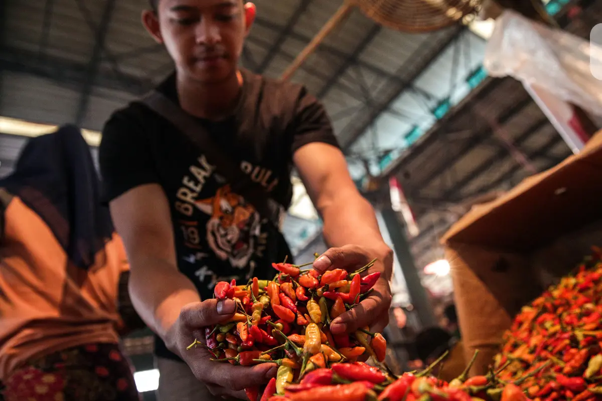FOTO: Pasokan Menurun, Harga Cabai Rawit Merah Naik