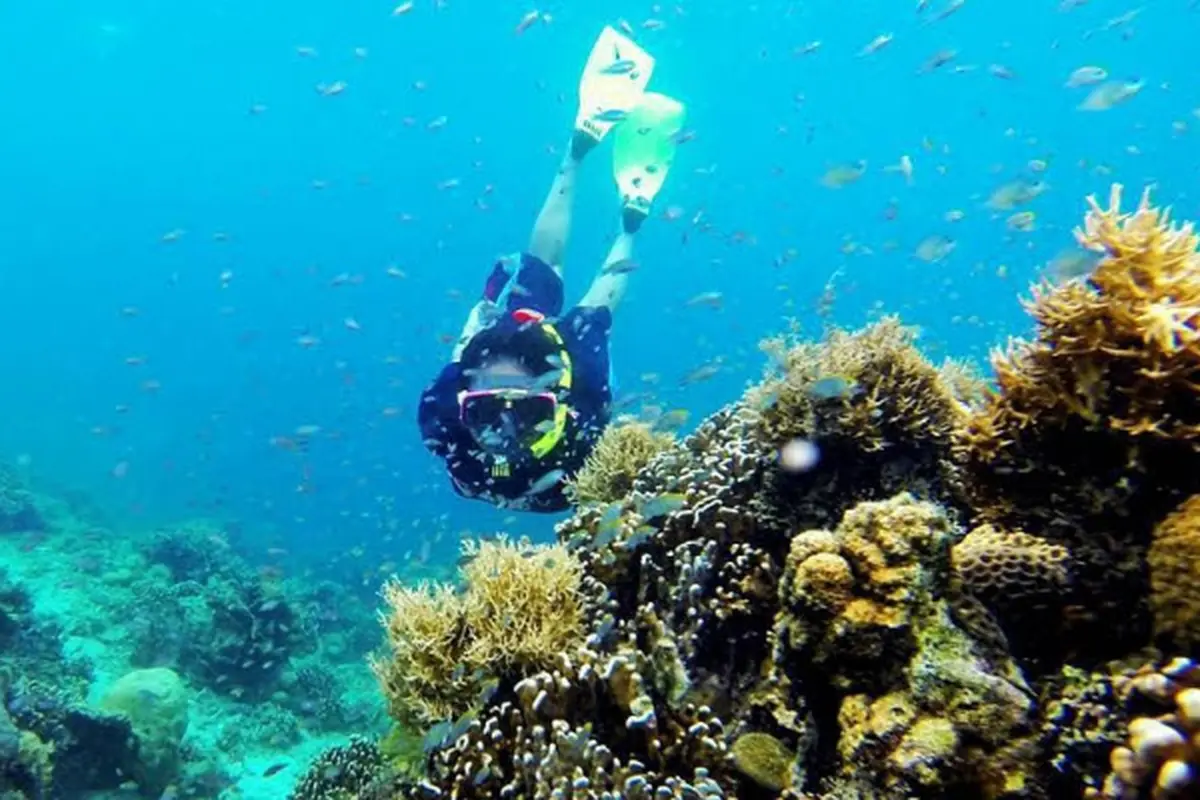 Pulau Samalona, Sulawesi