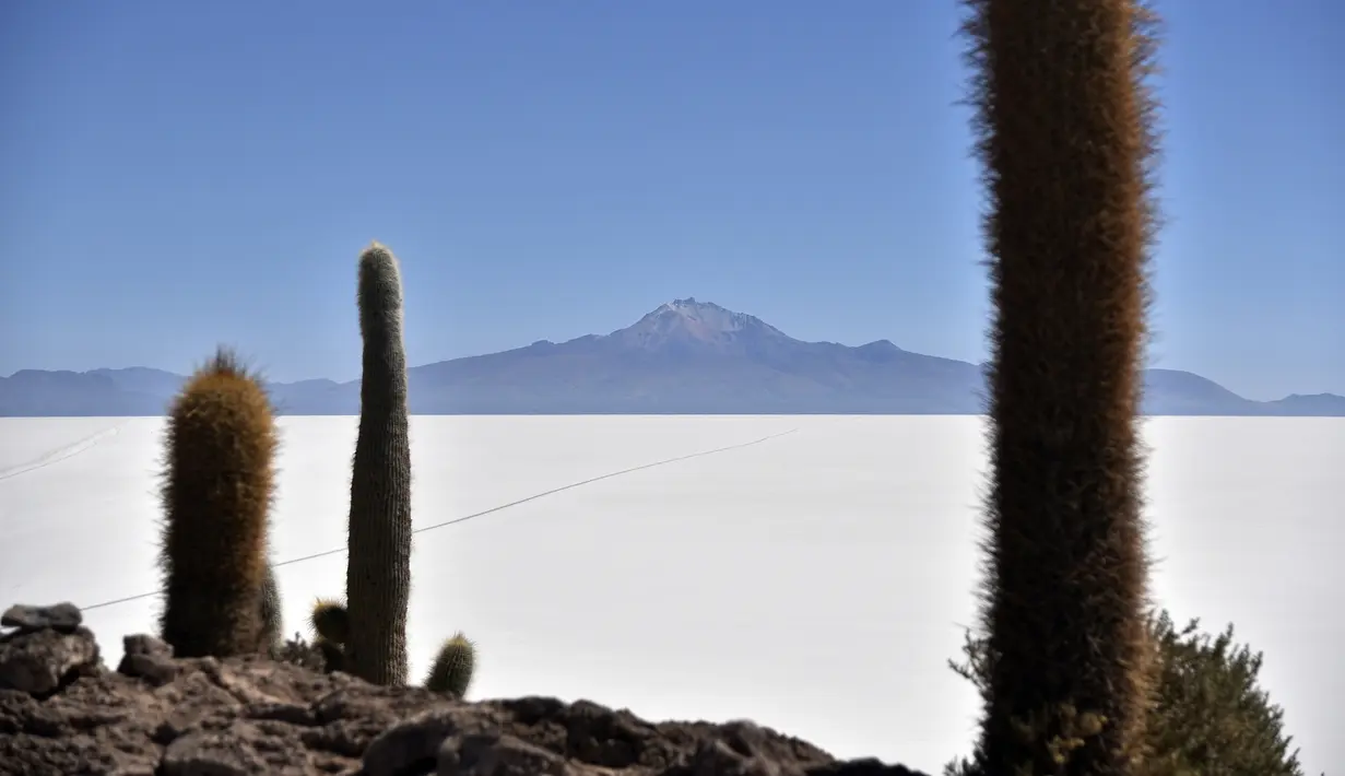 Pemandangan Salar de Uyuni, dataran garam terluas di dunia yang terletak di Altiplano, barat daya Bolivia pada 28 September 2019. Dataran yang memiliki sebutan lain Salar de Tunupa ini  memiliki luas 10.582 km2. (Photo by Aizar RALDES / AFP)