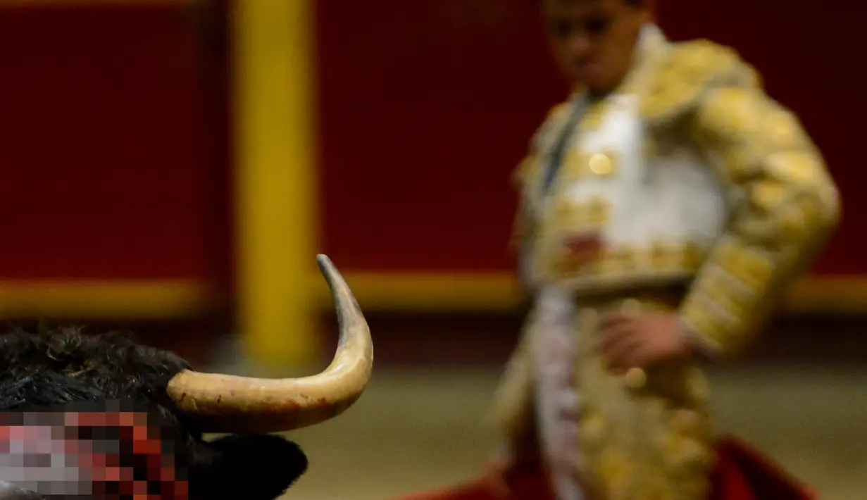 Matador Kolombia, Juan de Castilla tampil di arena adu banteng Macarena pada 14 Februari 2016 di Medellin, Kolombia. (AFP PHOTO / RAUL Arboleda)