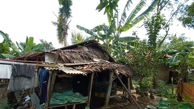 Rumah Gubuk Tengah Sawah