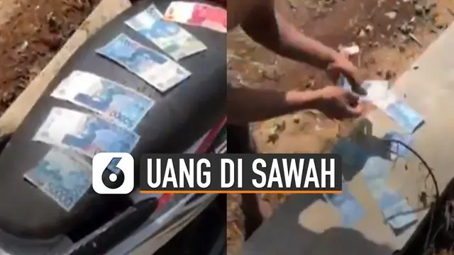 Baru-baru ini beredar video warga menemukan uang ratusan ribu di sawah. Beberapa warga berbondong-bondong untuk mencari uang tersebut.