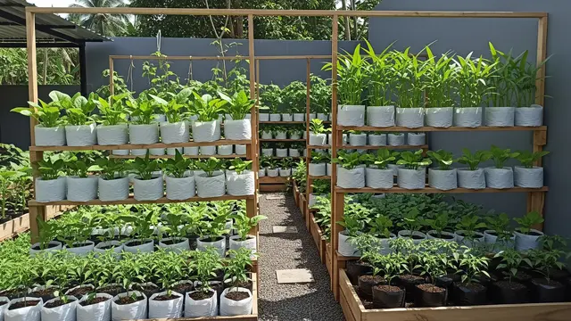Ide Kebun Sayur Minimalis Belakang Rumah Modal Rp 300 Ribu