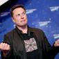 Elon Musk. (Joe Raedle/Getty Images/AFP)