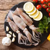 ilustrasi cumi-cumi/copyright By AS Food studio (Shutterstock)