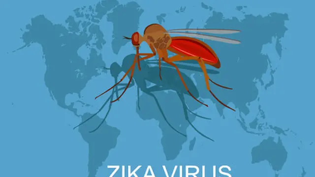 Zika, Virus Lama yang Muncul Kembali