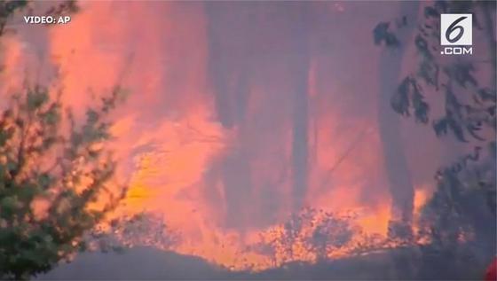 Kebakaran Hutan di Portugal, Beberapa Desa Terancam 