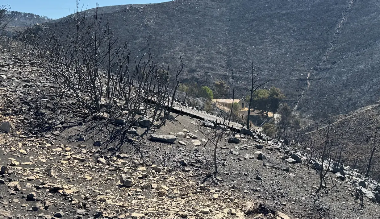 Sebelumnya, kebakaran hutan yang cepat meluas mencapai wilayah pinggiran Marseille menyebabkan sedikitnya 110 orang terluka dan memaksa 400 warga dievakuasi. (Viken KANTARCI/AFP)