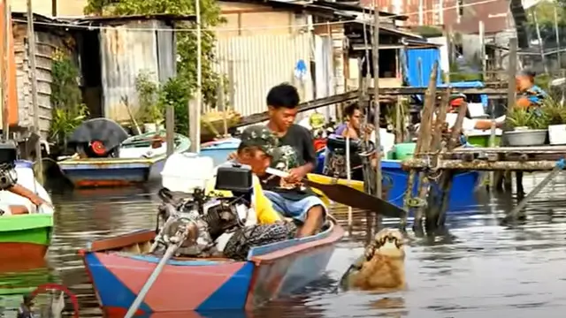Viral, Persahabatan Pak Ambo dengan Buaya Bernama Riska di Bontang