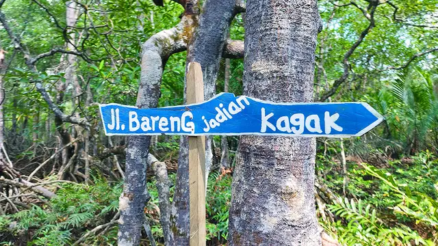 Wisata Mangrove Lati Tuo Desa Klempang Sari, Kecamatan Kuaro, Kabupaten Paser