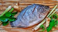 Ilustrasi ikan nila. (Gambar oleh 6809042 dari Pixabay)