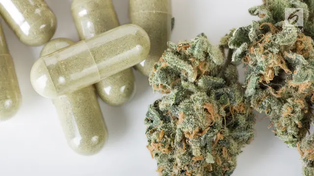 Ganja atau Mariyuana