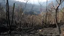 Kondisi salah satu lereng Gunung Ijen setelah mengalami kebakaran beberapa waktu lalu. Foto diambil pada Senin, (20/10/2014). (Liputan6.com/Helmi Fithriansyah)