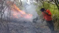 Personel tim gabungan pemadam kebakaran Gunung Arjuno bekerja keras untuk memadamkan api yang terus berkobar (BPBD Kota Batu)