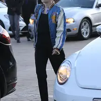 Miley Cyrus (via dailymail.co.uk)